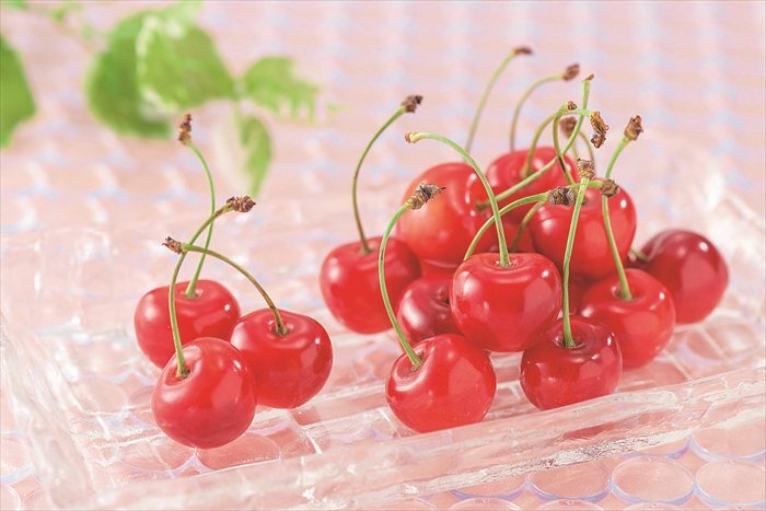 送料無料 北海道産地直送  さくらんぼ佐藤錦約600g 秀 ※ご注文後約7～10日前後での発送となります。沖縄・離島へは別途配送料が発生いたします お取り寄せグルメ スイーツ