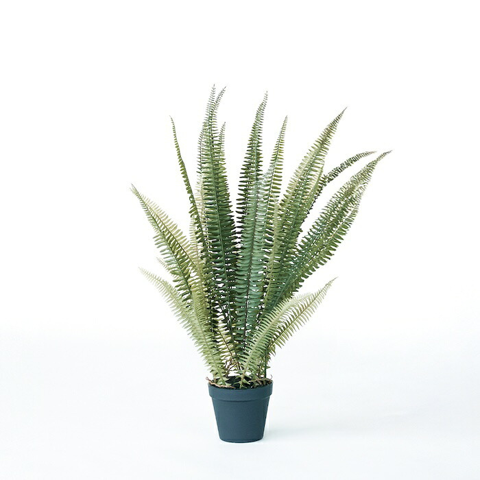 観葉植物 造花 ボストンファーン グリーン BROWN 全高約70cm 卓上・小型 フェイクグリーン 本物そっくり おしゃれ インテリア 人工観葉植物 アーティフィシャルグリーン オフィス 店舗 ホテル 開店祝い 室内 ミニ シダ タマシダ フェイク