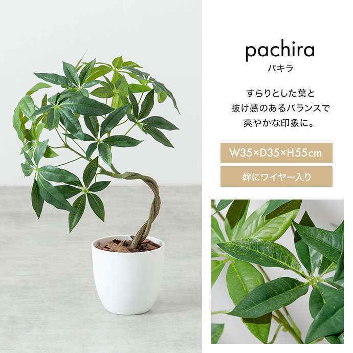 【高さ55cm】光触媒人工観葉植物 パキラ 幅35cm×奥行35cm×高さ55cm コンパクト 天然木 お部屋に気軽に飾れて空間を美しく彩るフェイクグリーン 本物の植物のようなリアルな質感とインテリアに馴染む風合いが魅力です