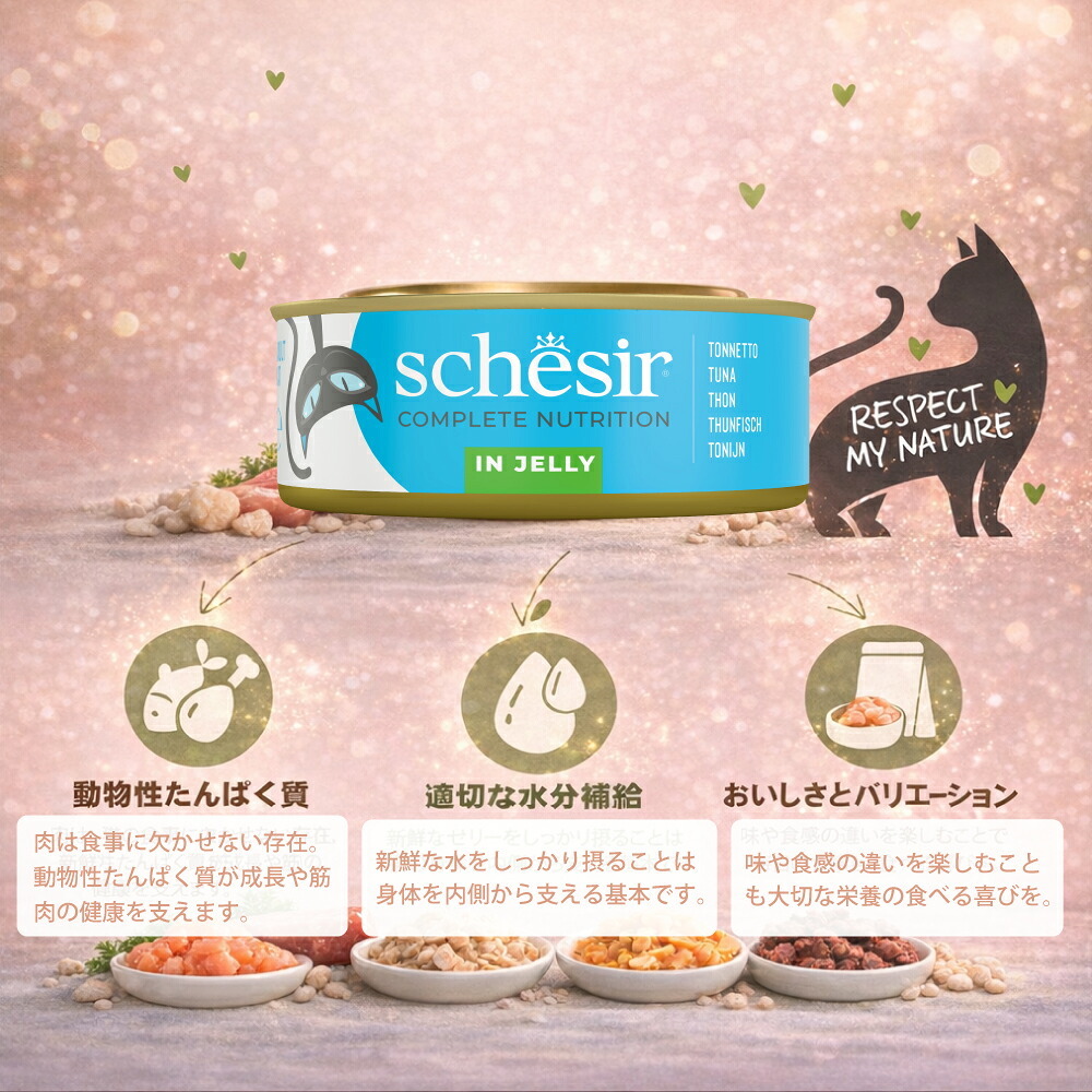Schesir シシア マルチパック ツナ 猫缶 キャットフード 50gX6P缶パック×8個