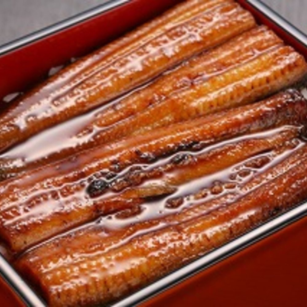 浜松 浜名湖 うなぎ蒲焼 210g 2人前 鰻 蒲焼 長焼き 冷凍 うなぎ蒲焼 国産 ウナギ【沖縄県・離島 配送不可】