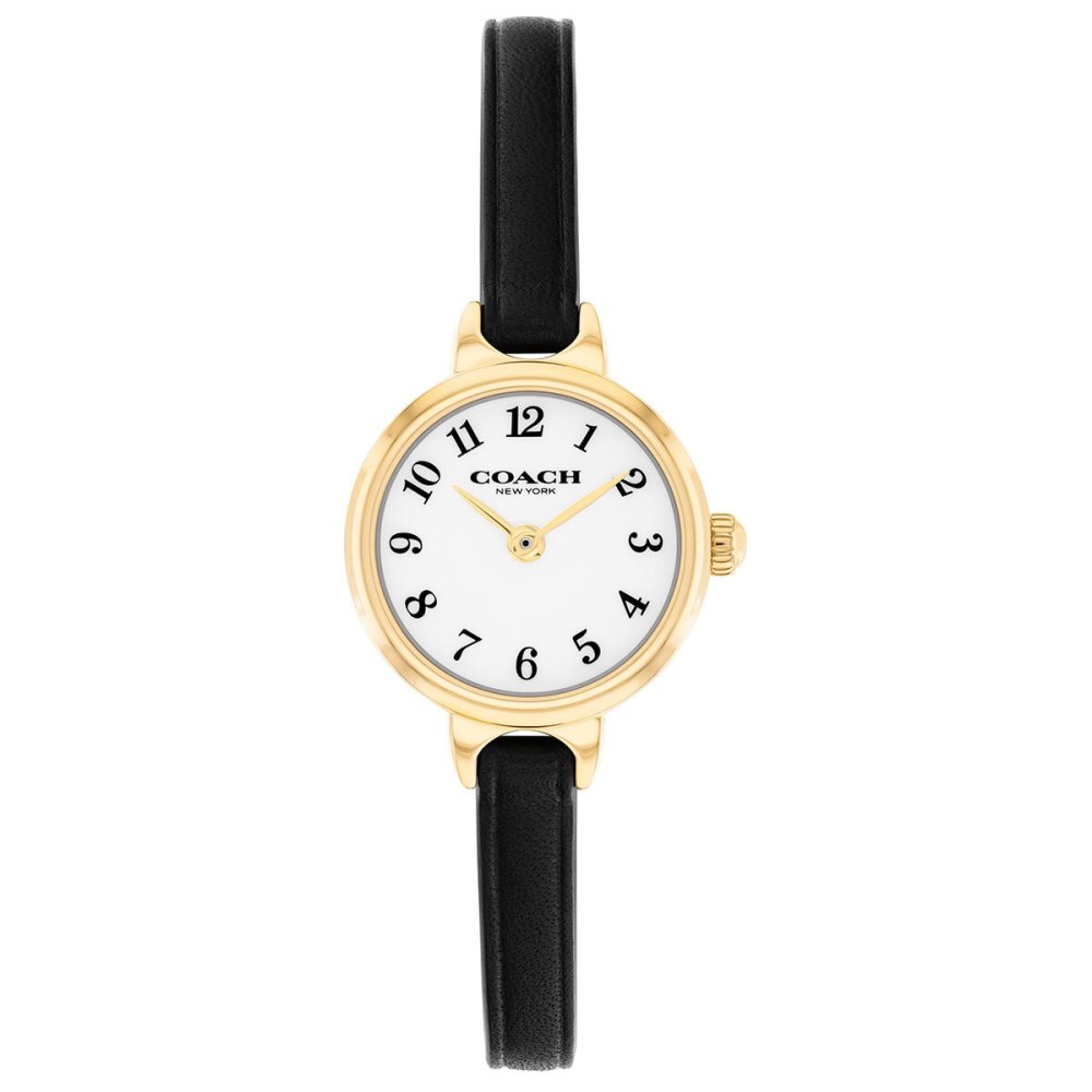 コーチ COACH 腕時計 レディース アイリス IRIS 22.5MM 14504654【2026 新作】