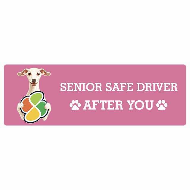 カーサイン 高齢者マーク SENIOR SAFE DRIVER イタリアングレーハウンド ステッカー シール 長方形 15x5cm 肉球 日本製 車