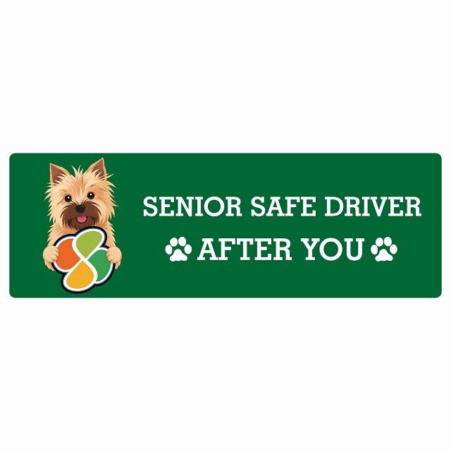 カーサイン 高齢者マーク SENIOR SAFE DRIVER ノーリッチテリア ステッカー シール 長方形 20x6.7cm 肉球 日本製 車