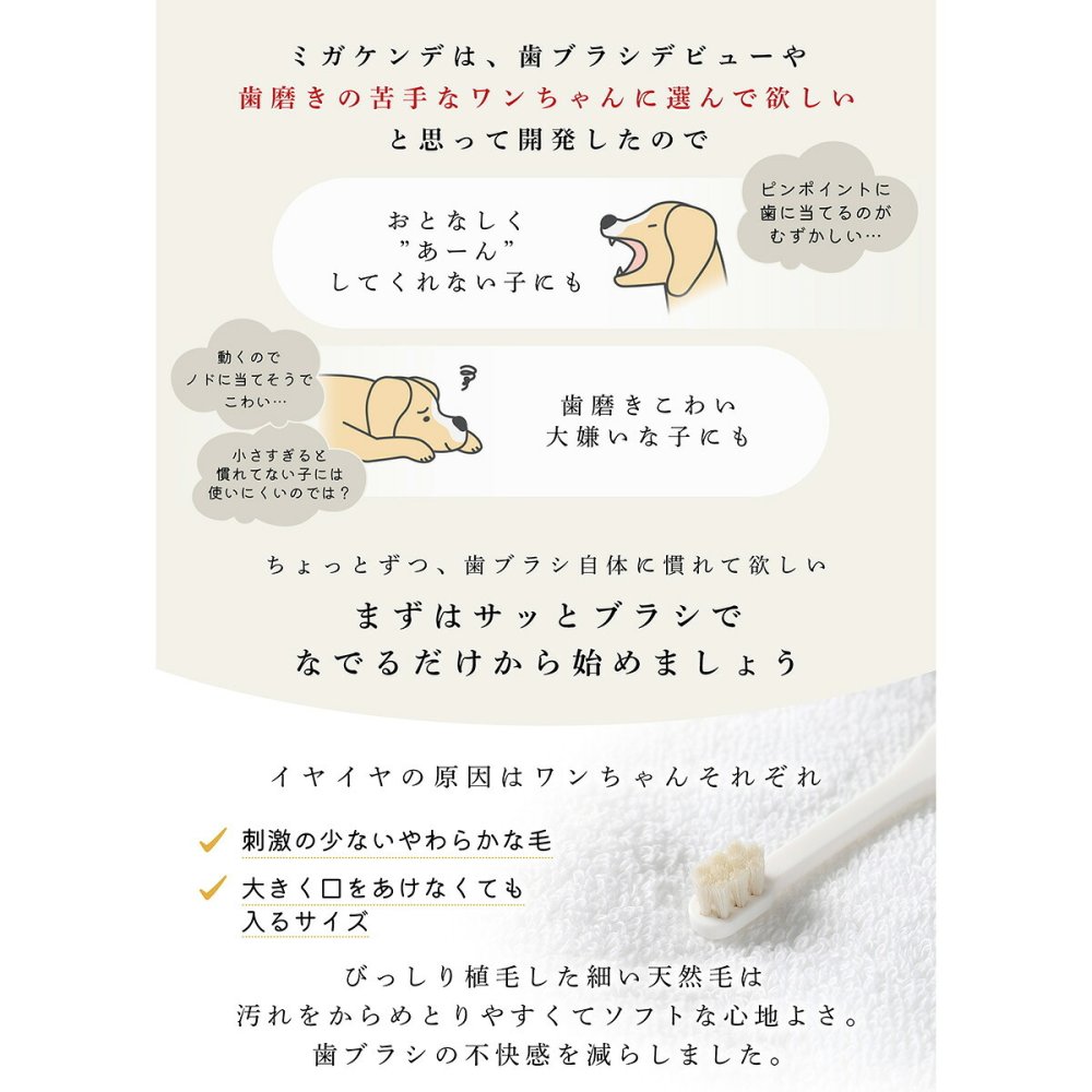 ミガケンデ MIGAKENDE 天然毛歯ブラシ ヤギ植毛 コンパクトヘッドタイプ