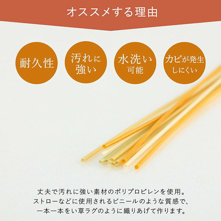 ラグ カーペット 洗える ござ 日本製 国産 丈夫 除菌スプレー対応 敷詰 敷物 アウトドア レジャー ペット 江戸間4.5畳（約261×261cm）