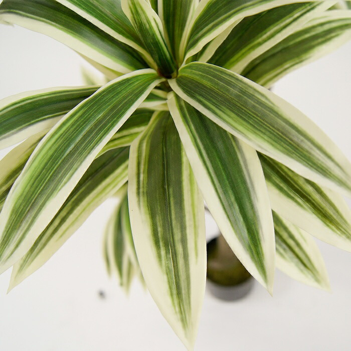 観葉植物 造花 ドラセナ ソングオブジャマイカ BROWN 全高約150cm 大型 フェイクグリーン 本物そっくり おしゃれ インテリア 人工観葉植物 アーティフィシャルグリーン オフィス 店舗 ホテル 開店祝い 室内 フェイク