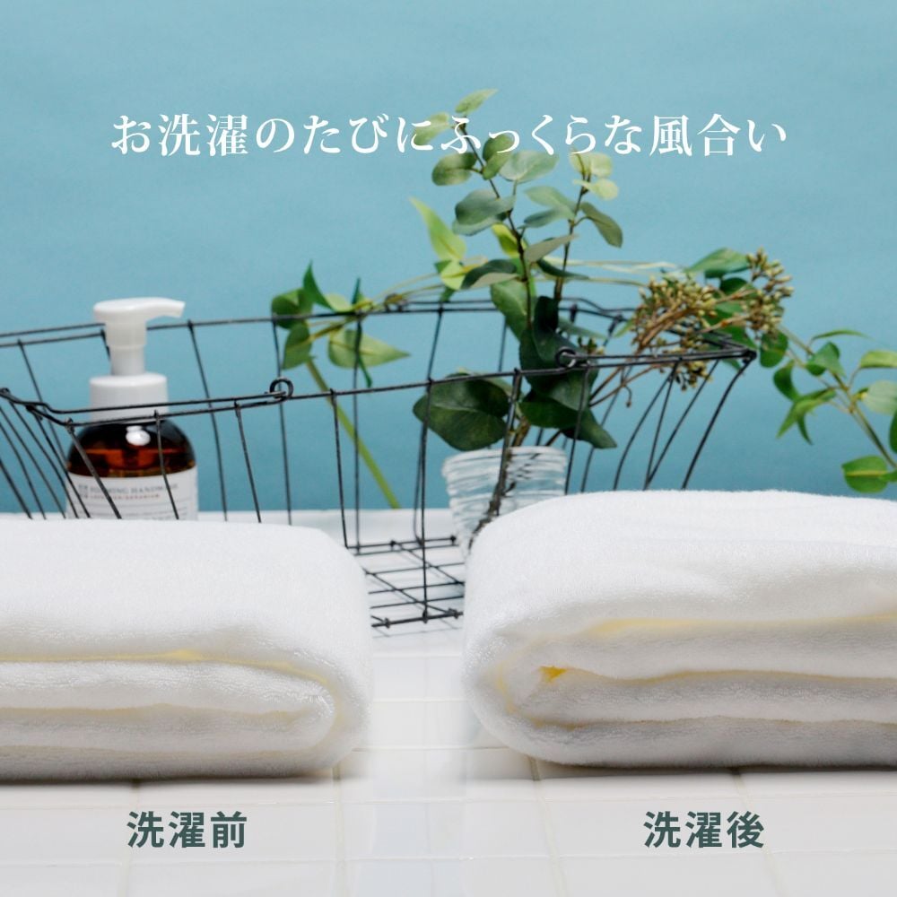 王様のタオル バスタオル（日常を優雅で贅沢なひとときに変える、ラグジュアリーコットン使用の高級今治タオル）日本製 認定品 厚手 吸水 ふわふわ ふっくら 綿100% わたうる ギフト プレゼント お風呂 湯上り 60×120cm 白 ホワイト 贈り物 内祝い 結婚祝い 出産祝い