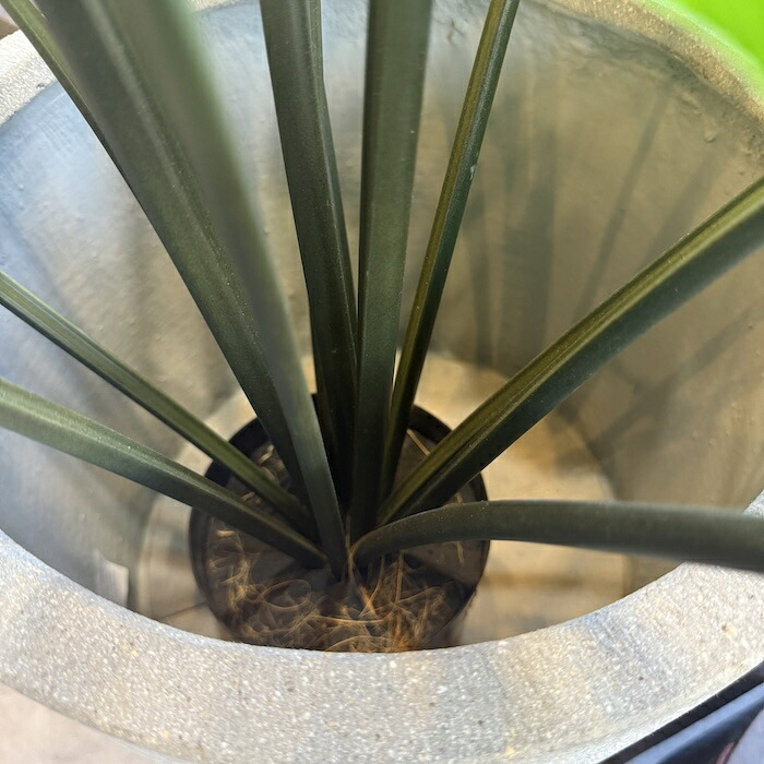 鉢カバー おしゃれ 大型 15号 12号 丸型 アリエス モノ L M サイズ 高級 北欧 室内 屋内 観葉植物用 サボテン 特大 玄関 インテリア プランター 深型