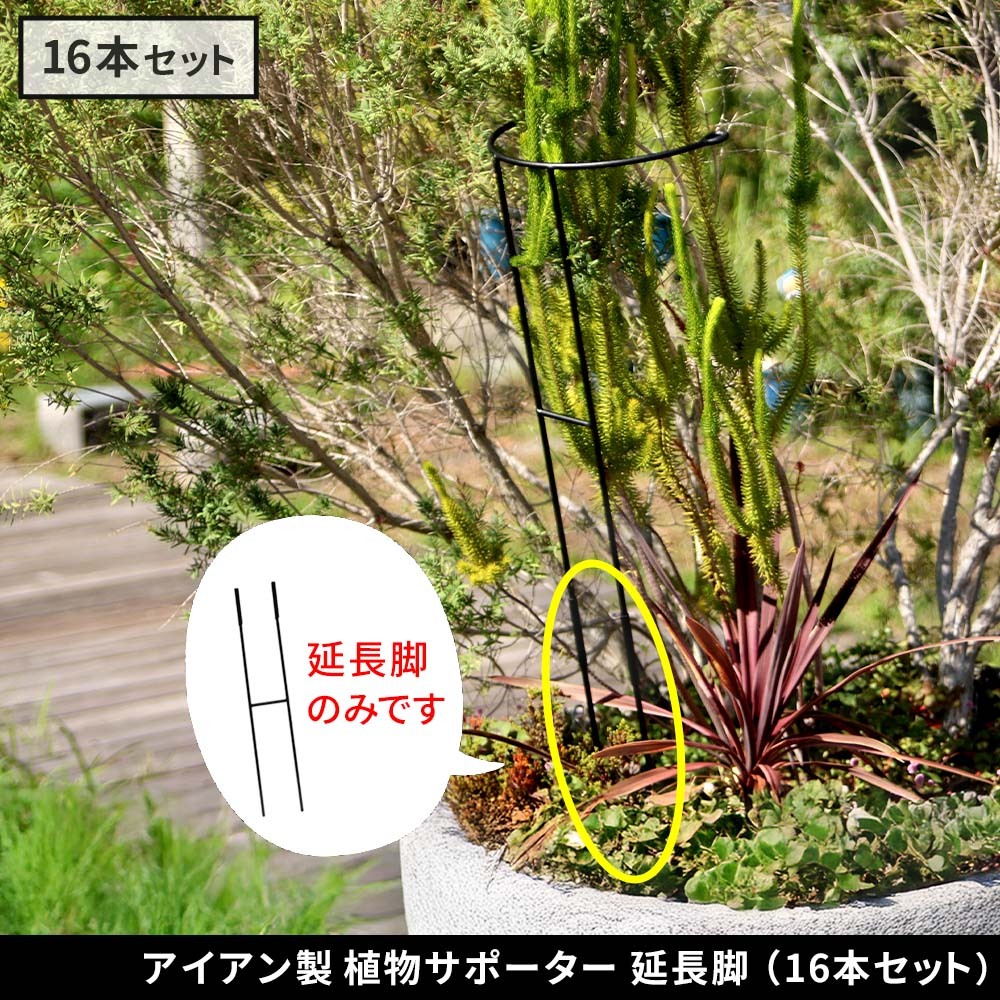 アイアン製植物サポーター 延長脚 16本セット IF-N0051-16P脚のみ 高さ47cm ハーフリング 倒れ防止 広がり抑制 スチール 鉄製 支柱 園芸 植物サポート フラワーサポート 菜園 花壇