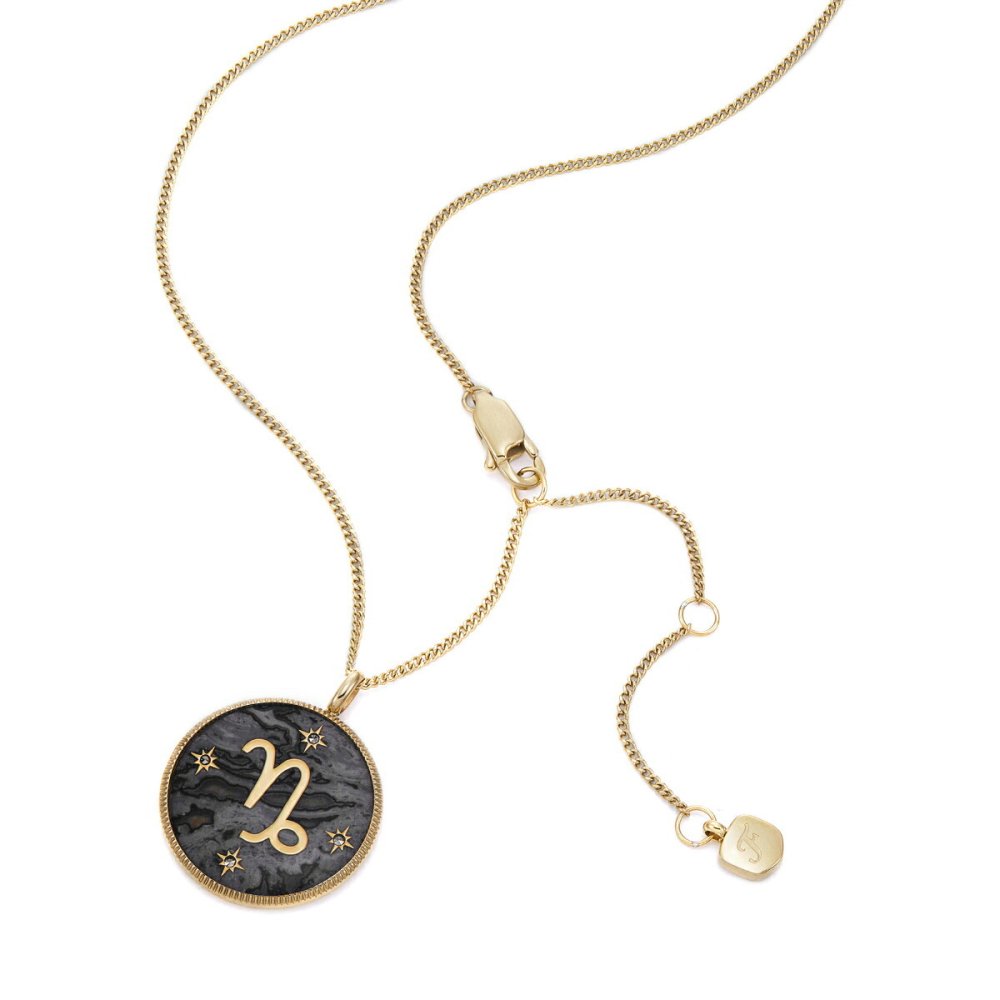 フォッシル FOSSIL Sutton アクセサリー ネックレス ペンダント やぎ座 レディース JF04847710
