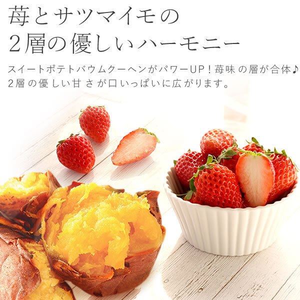 ＼早割！8/31の16時まで／ 敬老の日 ギフト プレゼント 早割 人気 花 生花 蘭 胡蝶蘭 鉢植え ミディ 2.5号 洋蘭園 フラワーギフト バウムクーヘン スイーツ お菓子 洋菓子 花とお菓子 60代 70代 80代 90代 おじいちゃん おばあちゃん 孫 孫から おいもや