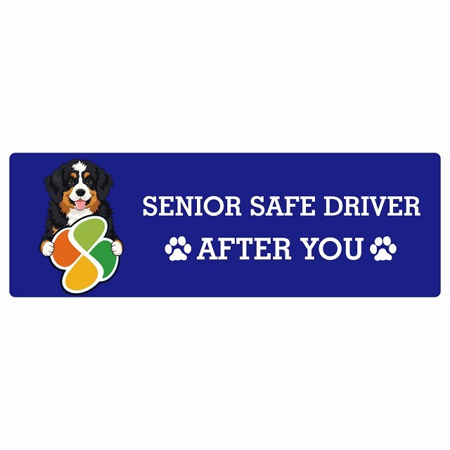 カーサイン 高齢者マーク SENIOR SAFE DRIVER バーニードゥードル ステッカー シール 長方形 15x5cm 肉球 日本製 車