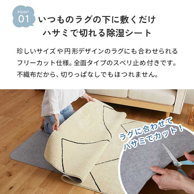 ラグ カーペット 除湿シート 用除湿シート 下シート 湿気取り 防カビ 防臭 消臭 結露対策 カビ対策 吸湿センサー付き 洗える 繰り返し使える 滑り止め フリーカット ホット 対応 床暖房対応 絨毯 敷物 梅雨対策 夏 冬 湿気対策 快適 日本製 新生活