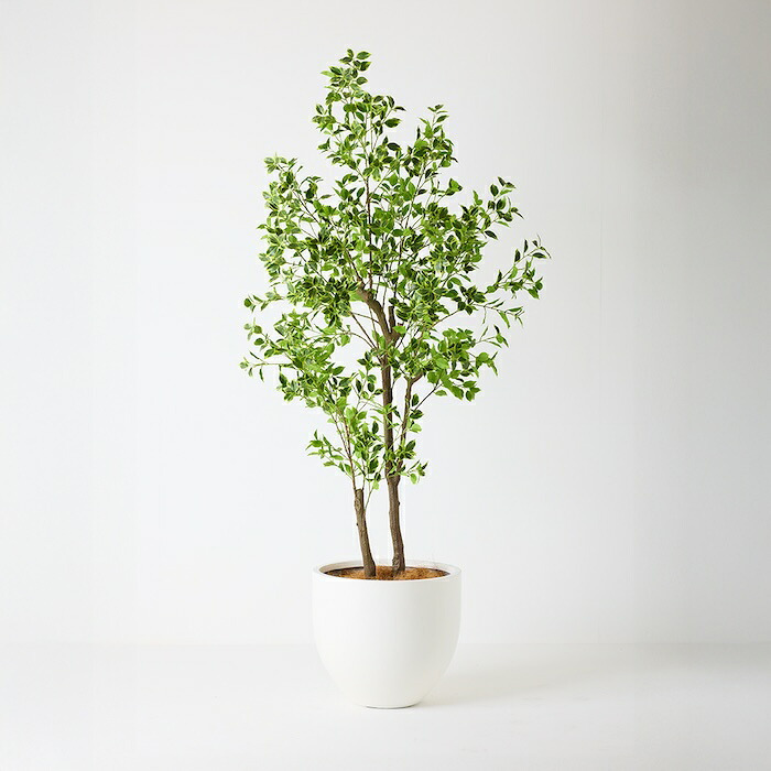 観葉植物 造花 斑入りベンジャミン BROWN 全高約210cm 大型 フェイクグリーン 高級 本物そっくり リアル おしゃれ 明るい インテリア 人工観葉植物 アーティフィシャルグリーン オフィス 店舗 ホテル 開店祝い 室内 リビング 玄関 風水 ベンジャミナ