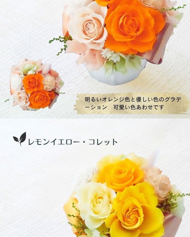 プリザーブドフラワーアレンジメント 【Paint Brush】　 鮮やかな色のプリザーブドフラワー。 7色よりお選びください。プリザーブドフラワー 誕生日 花 プレゼント お礼 お祝い 本物 グリーン 和 ギフト メッセージ 送料無料 お礼 プリザーブド プレゼント おしゃれ リビング インテリア 枯れない花 土日発送 母の日 敬老の日 お中元 お歳暮