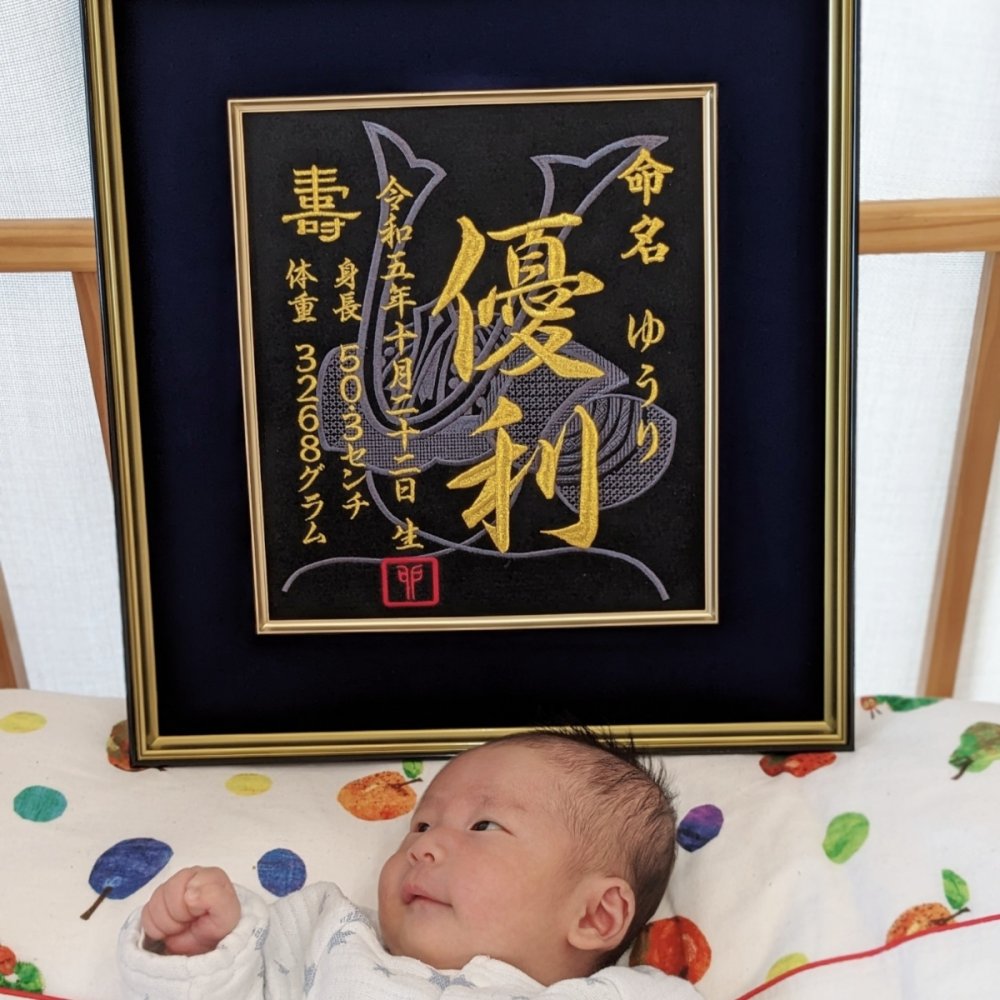 【大兜】 兜 刺繍 命名書 刺繍命名書 代筆 額付き 額 命名額 命名 紙 オーダーメイド 日本製 男の子 女の子 出産内祝い 色紙 高級感 壽 初孫  端午の節句 こどもの日 お七夜 命名式 命名紙  桃の節句 五月人形 お祝い 七五三 ひな祭り