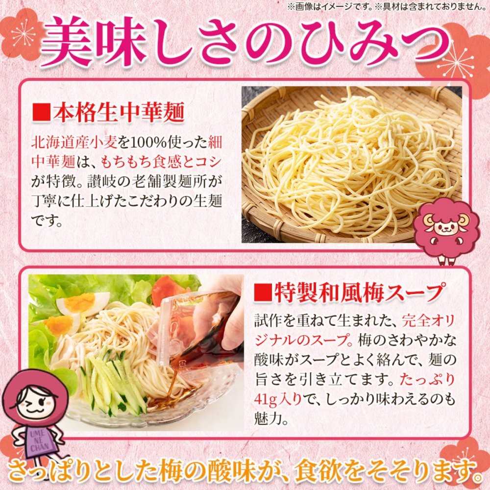 うめねぇちゃん 冷やし中華 5食セット 冷やし麺 生麺 スープ付き 個包装 夏麺 中華麺 ポスト投函便