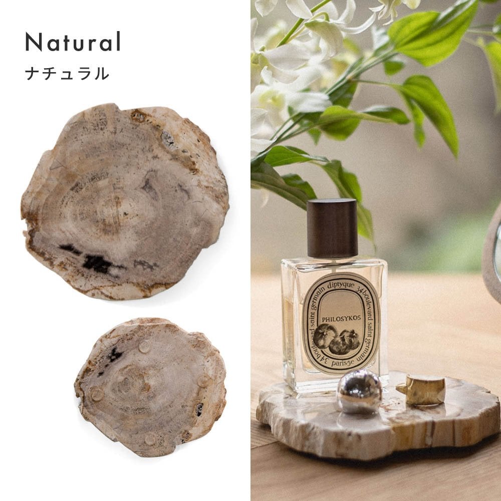 amabro アマブロ WOOD COASTER ウッドコースター 木のコースター 木製コースター 木製 珪化木 村上美術 コースター プレート