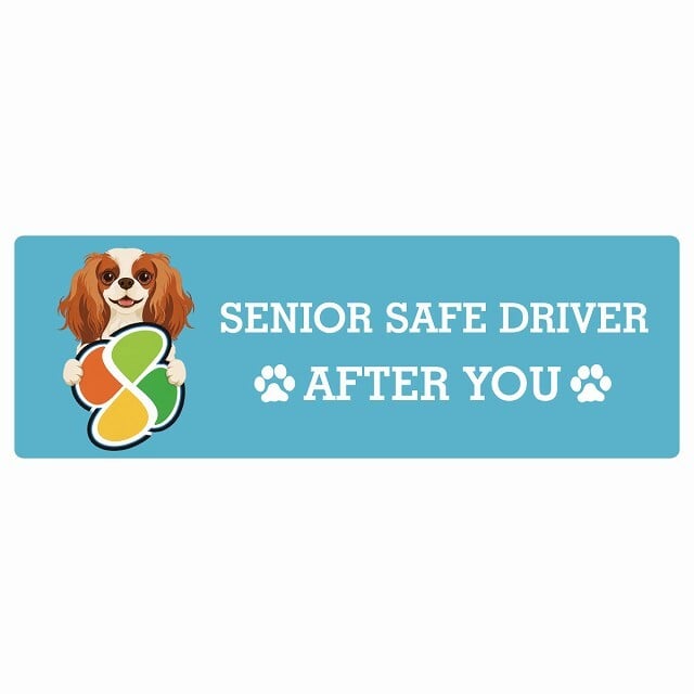 カーサイン 高齢者マーク SENIOR SAFE DRIVER キャバリアキングチャールズスパニエル ステッカー シール 長方形 20x6.7cm 肉球 日本製 車