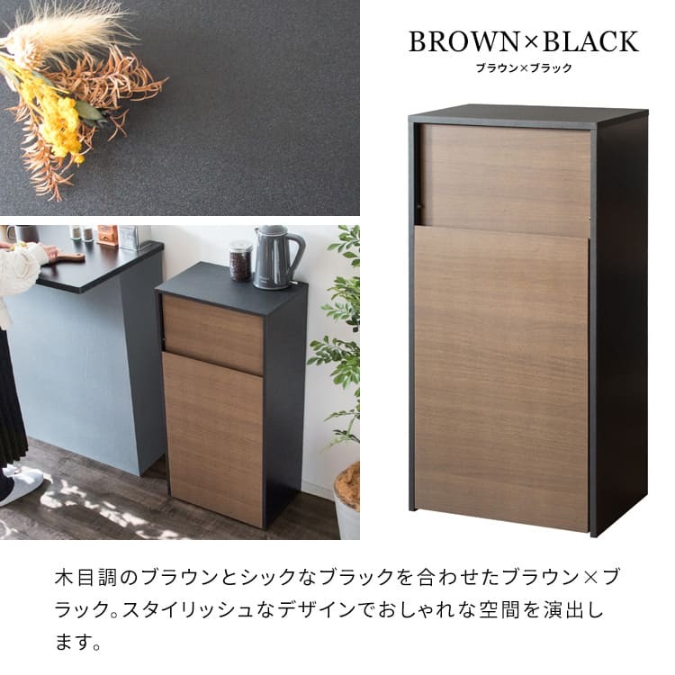 ゴミ箱 ダストボックス キャスター付き 45L 北欧 シンプル モダン 大容量 フタ付き プッシュ扉式 ごみ箱 DB-F1100 Helios ヘリオス スリム 奥浅 薄型 縦型 木製 木目調 人気 おすすめ おしゃれ ランキング キッチン 収納 棚