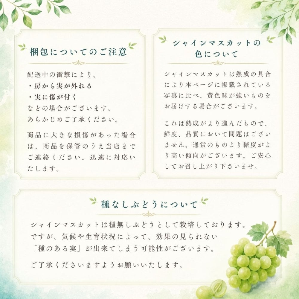 【産地直送】山梨県産 シャインマスカット 特秀品 約1kg｜秋ギフト・誕生日・内祝い・贈答用
