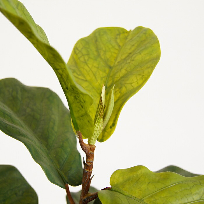 観葉植物 造花 カシワバゴム BROWN 全高約150cm 大型 ゴムの木 フェイクグリーン 本物そっくり おしゃれ インテリア 人工観葉植物 アーティフィシャルグリーン オフィス 店舗 ホテル 開店祝い 室内 フィドルリーフ フェイク