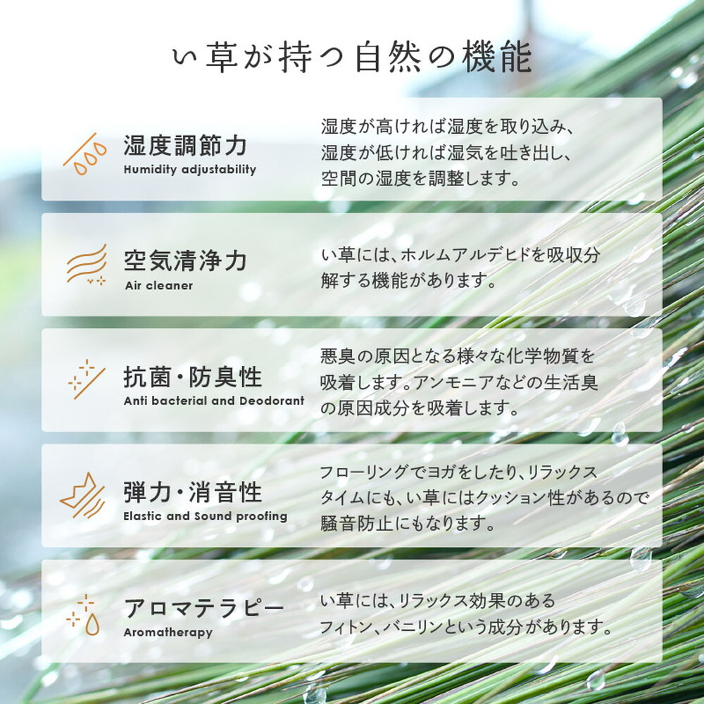 夏ラグ 夏用カーペット 国産い草カーペット せとのと 倉ノ戸 本間 2帖 2畳 柄上敷き 花ござ い草ラグ