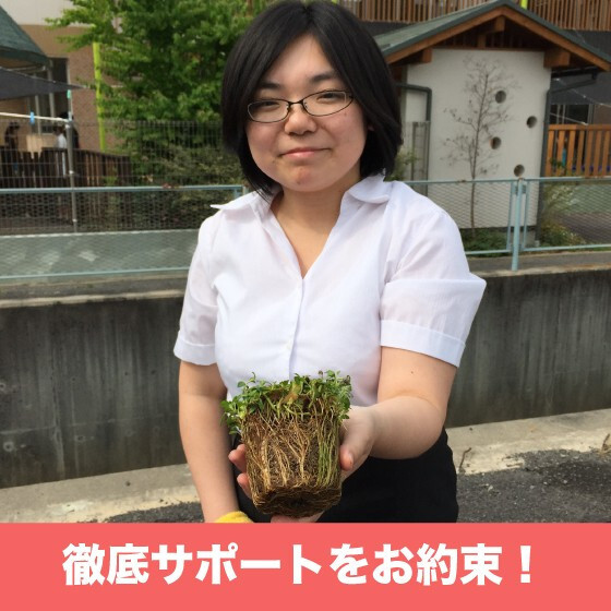 【肥料プレゼント中】 クラピア K5（薄桃） 9cmポット苗  80鉢セット 有機入り一発果菜肥料600gと完全植栽マニュアル付き イワダレソウ改良種 グランドカバー プランツ 雑草対策 庭 ガーデニング diy 緑化 おすすめ ガーデン 多年草 植物
