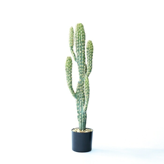 観葉植物 造花 柱サボテン BROWN 全高約71cm 卓上・小型 フェイクグリーン 本物そっくり おしゃれ インテリア 人工観葉植物 アーティフィシャルグリーン オフィス 店舗 ホテル 開店祝い 室内 ミニ サボテン カクタス フェイク