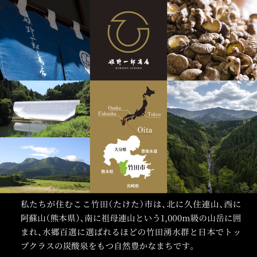 佃煮 ギフト 椎茸 老舗 詰め合わせ 国産 姫 ギフトセット 10個入(9種類)  しいたけの佃煮 昆布の佃煮 ちりめん ぴり辛 つくだ煮 甘露煮 ゆず甘露 きくらげ ご飯のお供 保存料・化学調味料不使用 手作り プレゼント 贈り物 手土産 ふるさとの味 姫野一郎商店 母の日 お歳暮 お中元 夏の贈り物 冬の贈り物 敬老の日 新築祝い お祝い 敬老の日 快気祝い 引っ越し祝い 