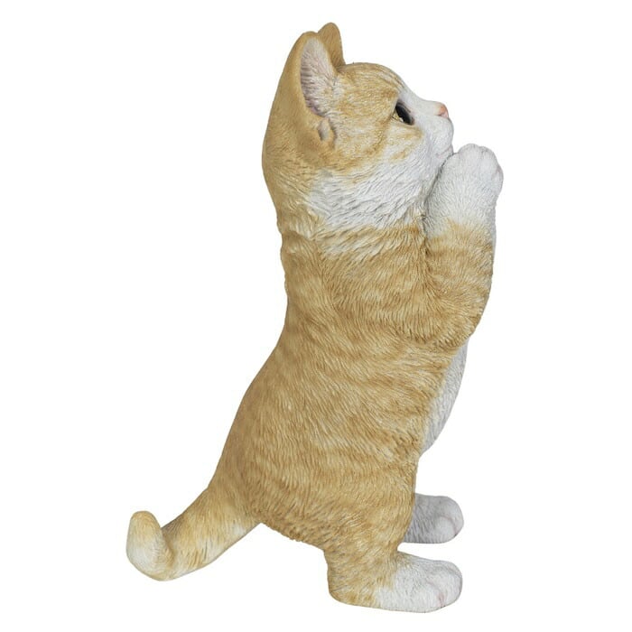 置物 猫 おねだりビスケットとら白猫 高さ23cm woobia ウービア リアル かわいい おしゃれ 玄関 インテリア オブジェ ガーデン とら猫 おねだり ねこ ネコ 動物 癒し 棚 北欧 プレゼント ギフト 新築祝い 猫好き