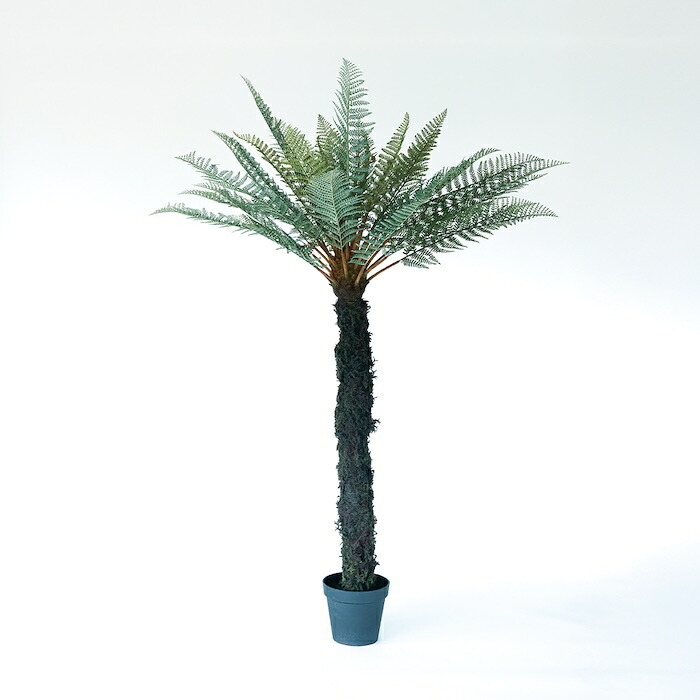 観葉植物 造花 ディクソニア BROWN 全高約183cm 大型 フェイクグリーン 高級 本物そっくり リアル おしゃれ 珍しい インテリア 人工観葉植物 アーティフィシャルグリーン オフィス 店舗 ホテル 開店祝い 室内 リビング 玄関 風水 木性シダ