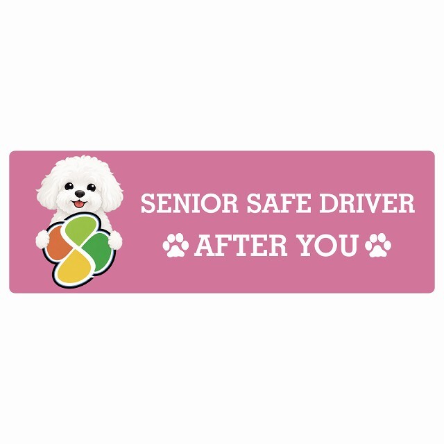 カーサイン 高齢者マーク SENIOR SAFE DRIVER ビションフリーゼ ステッカー シール 長方形 15x5cm 肉球 日本製 車