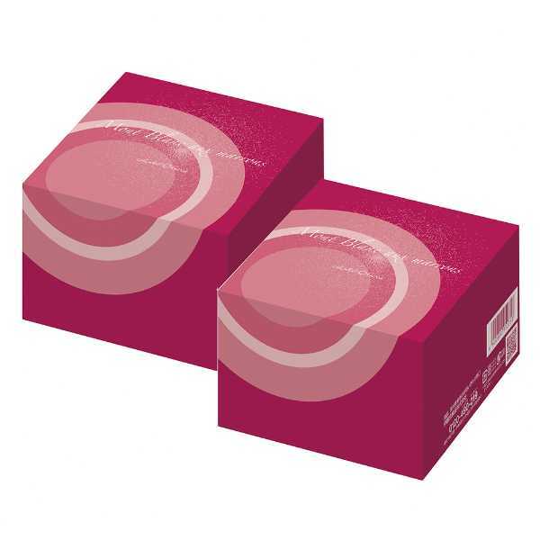 ホテルオークラ フランス栗のメレンゲモンブラン 2個入 冷凍 ケーキ マロン スイーツ 洋菓子 高級 お取り寄せ グルメ ギフト プレゼント お祝い 手土産 誕生日 記念日 クリスマス バレンタイン ホワイトデー