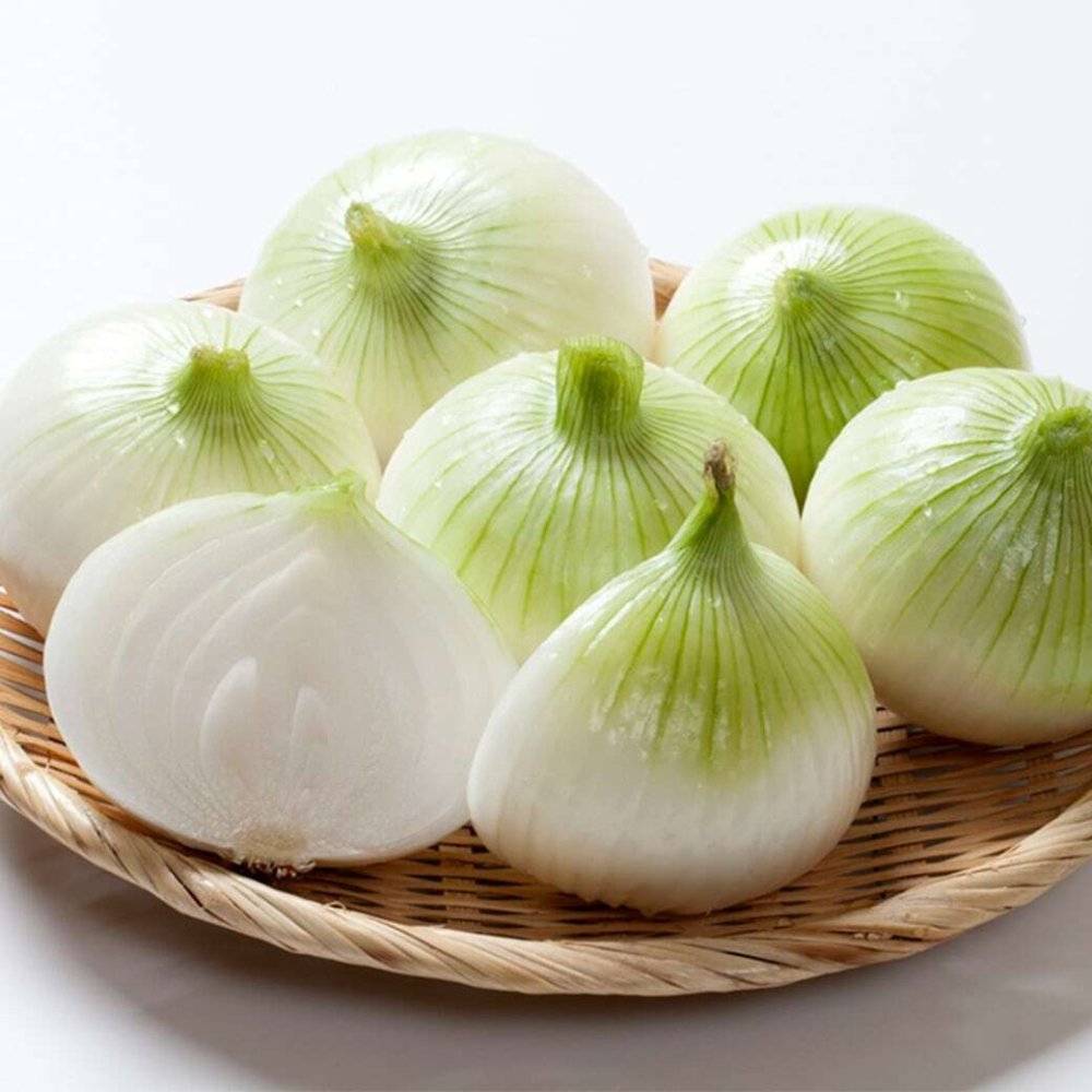 淡路島産 新玉ねぎ 2kg