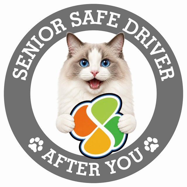 カーサイン 高齢者マーク SENIOR SAFE DRIVER ラグドール ステッカー シール 直径13cm 肉球 日本製 車