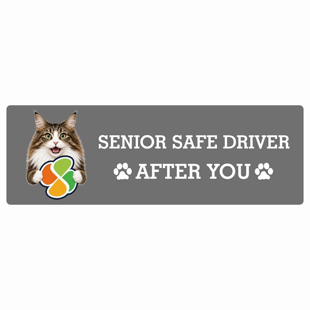 カーサイン 高齢者マーク SENIOR SAFE DRIVER ノルウェージャンフォレストキャット ステッカー シール 長方形 20x6.7cm 肉球 日本製 車