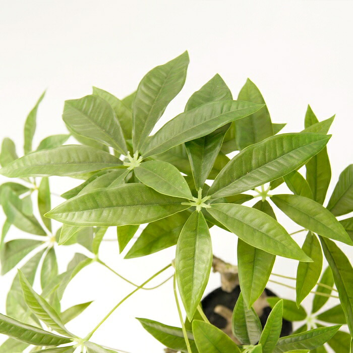 観葉植物 造花 パキラ BROWN 全高約90cm 中型 フェイクグリーン 本物そっくり おしゃれ インテリア 人工観葉植物 アーティフィシャルグリーン オフィス 店舗 ホテル 開店祝い 室内 発財樹 フェイク