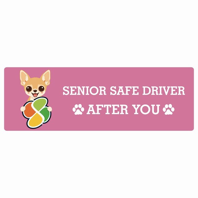カーサイン 高齢者マーク SENIOR SAFE DRIVER チワワ ステッカー シール 長方形 20x6.7cm 肉球 日本製 車