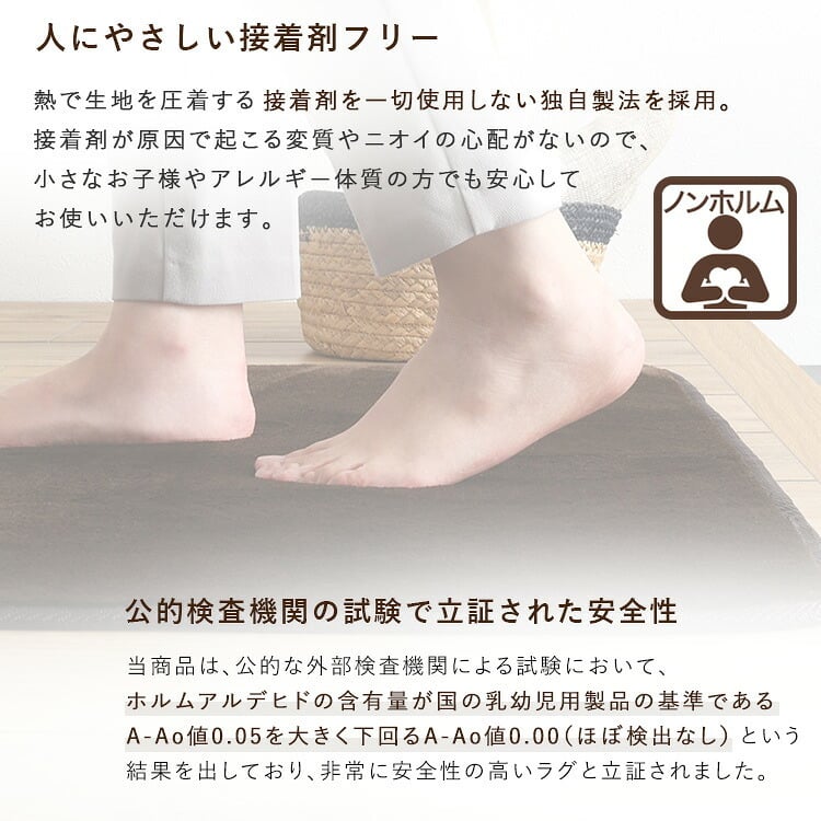ラグ カーペット 洗える玄関マット 45×90cm 【ヴィタム-Witam-】