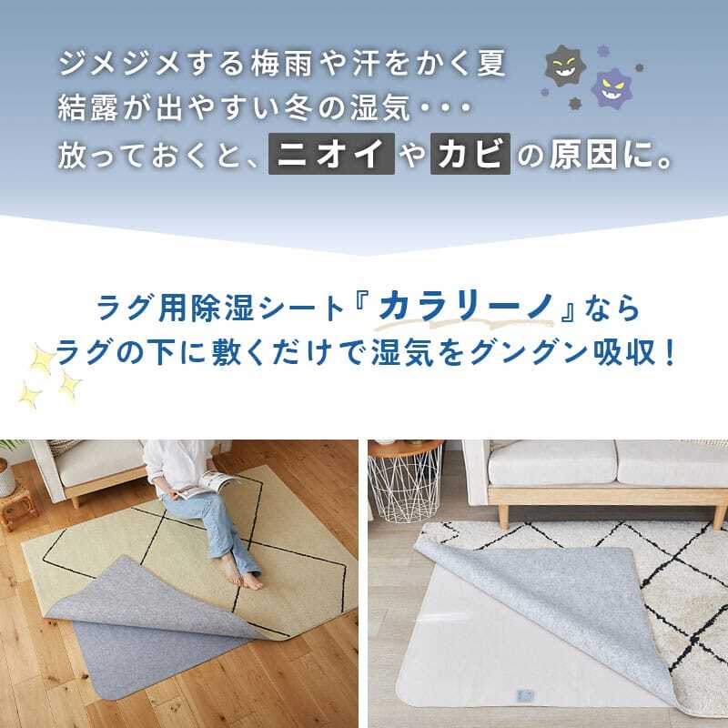 ラグ カーペット 除湿シート 用除湿シート 下シート 湿気取り 防カビ 防臭 消臭 結露対策 カビ対策 吸湿センサー付き 洗える 繰り返し使える 滑り止め フリーカット ホット 対応 床暖房対応 絨毯 敷物 梅雨対策 夏 冬 湿気対策 快適 日本製 新生活