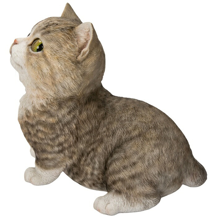 置物 猫 見上げるマンチカン ブラウン 幅16cm woobia ウービア リアル かわいい おしゃれ 玄関 インテリア オブジェ ガーデン マンチカン キジトラ ネコ 動物 アニマル 癒し 棚 北欧 リビング プレゼント ギフト 新築祝い 猫好き
