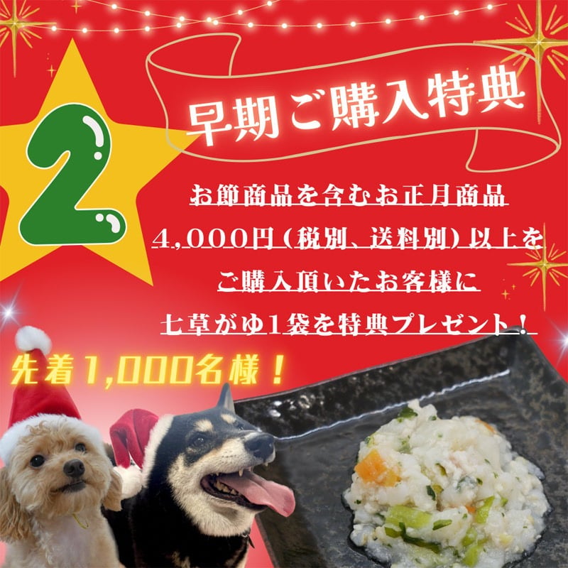 「 ハッピー クリスマス ロールケーキ 」 ワンちゃんもネコちゃんも飼い主さんも食べられる 美味しく贅沢なグルテンフリーケーキ ペットも飼い主様も大好きなケーキ♪ 家族みんなで美味しい贅沢をお楽しみください。はなとしっぽ初の人用ケーキコラボ商品！