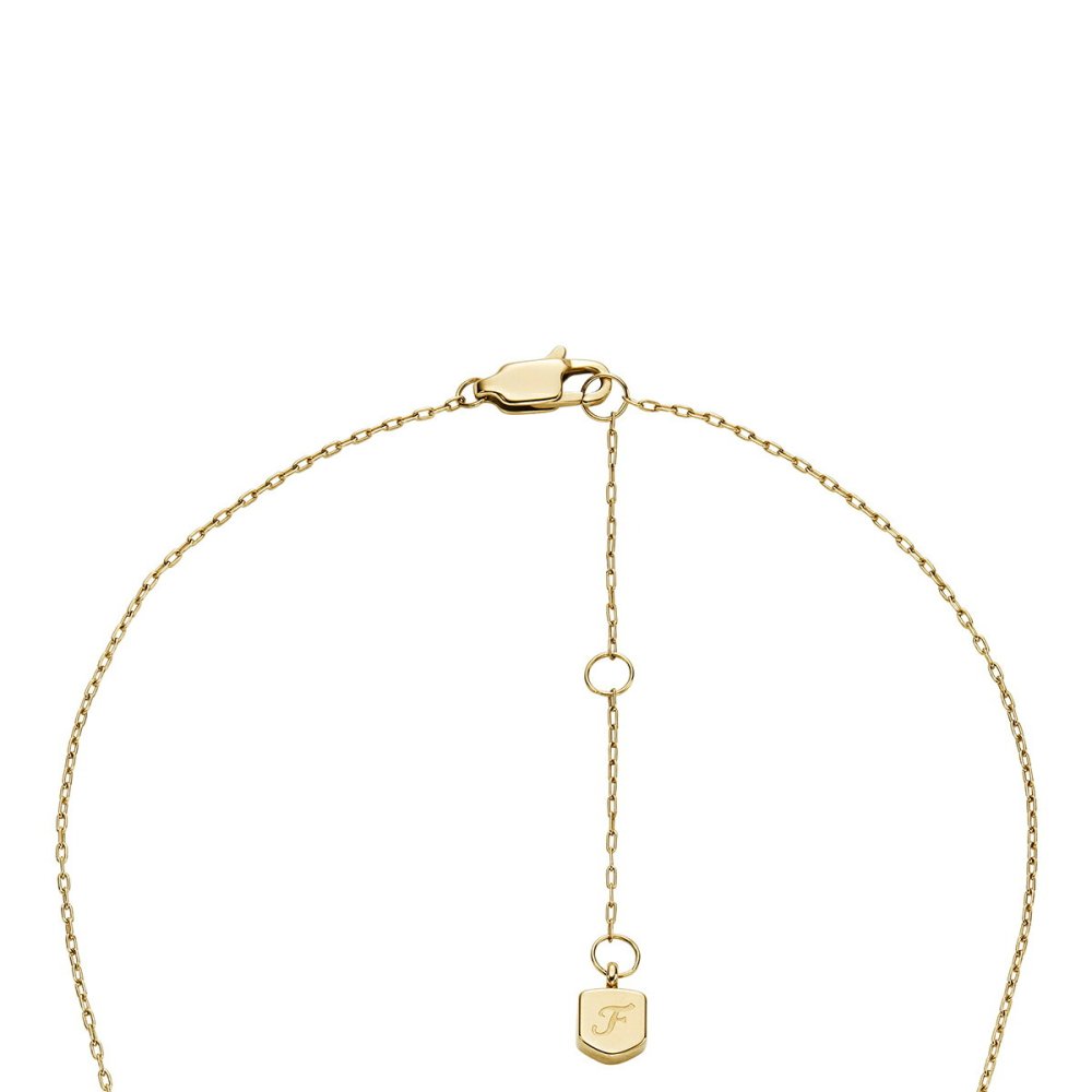 フォッシル FOSSIL Ellis アクセサリー ネックレス＆ピアス ギフトセット レディース JF04815SET
