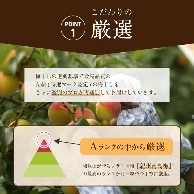 【特選紀州南高梅】【あまみつ梅250g×2パック（塩分約5％）】【紀州産】【調味梅干】減塩のはちみつ梅干し つけもの 梅干し ギフト プレゼント 内祝