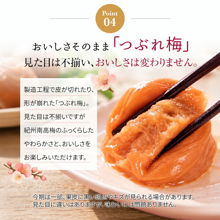 梅干し 紀州南高梅 つぶれ梅 1.7kg 850g×2パック 塩分約3% 減塩 はちみつ梅 蜂蜜 大粒 3L 4L 訳あり 紀州 和歌山県産 お徳用 果肉たっぷり ご飯のお供 ギフト