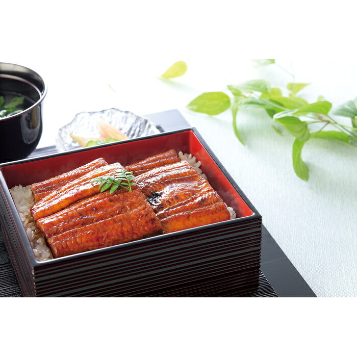 送料無料 お歳暮 静岡産うなぎ「静生旅鰻」  ※11月9日から12月24日 北海道・沖縄・離島は配達不可 全国送料無料御中元ギフト早割お中元2026御中元御見舞お見舞いお取り寄せグルメスイーツ