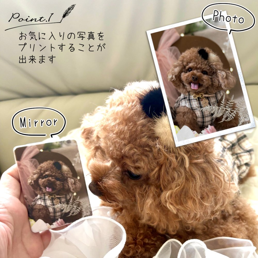 写真入りコンパクトミラー 名入れ無料 オーダーメイド オリジナル うちの子グッズ フルカラー プリント 二面鏡 折りたたみ式 美容小物 ノベルティ お祝い 内祝い 入園 入学 卒園 卒業 卒団 父の日 母の日 敬老の日 誕生日 クリスマス 男の子 女の子 ペット 犬 猫 推し活