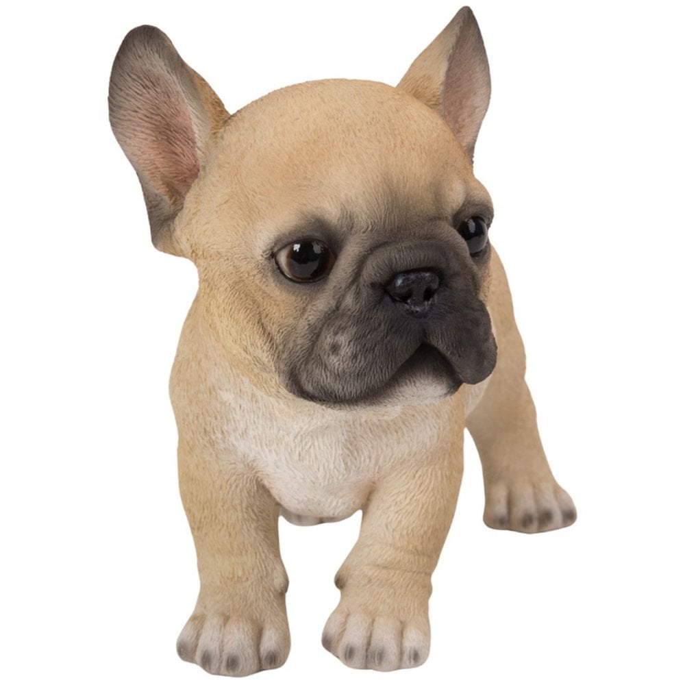 置物 woobia ウービア フレブル 立つ子犬のフレンチブルドッグ フォーン 幅17.8cm 子犬 リアル 本物そっくり イギリス生まれ 職人手彩色 縁起物 戌年 玄関 インテリア 新築祝い 引っ越し祝い 開店祝い 出産祝い 誕生日 お祝い ギフト プレゼント 犬好き フレンチブルドッグ好き